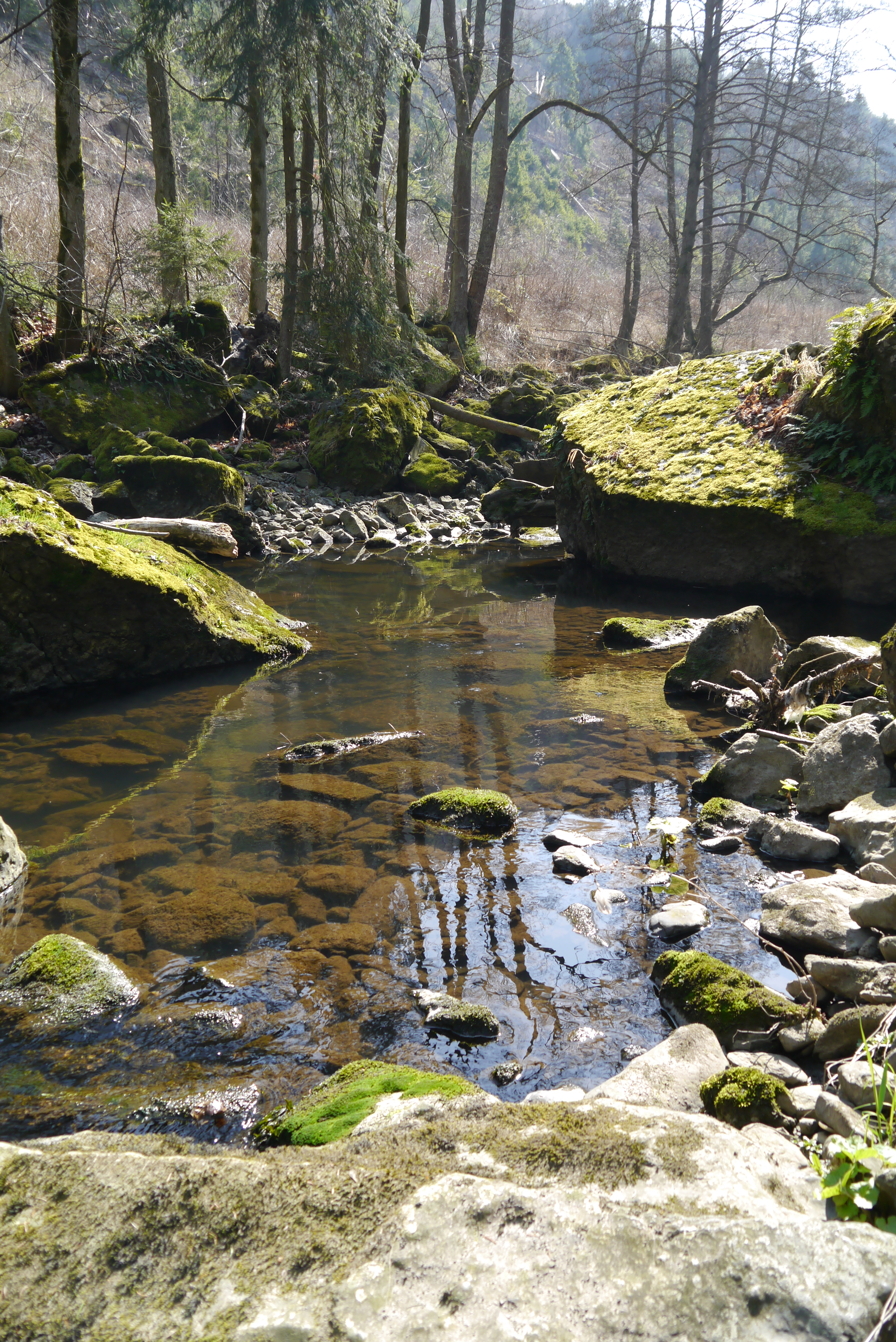Im Einklang mit der Natur